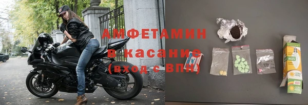 гидра Арсеньев