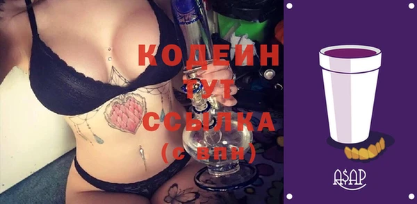 гидра Арсеньев