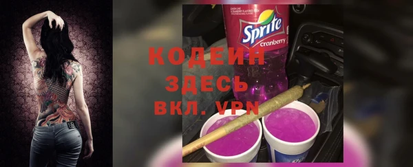 гидра Арсеньев