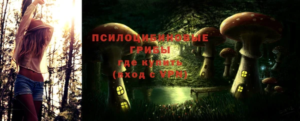 гидра Арсеньев