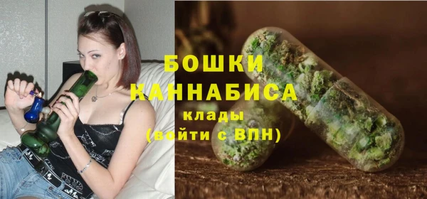гидра Арсеньев