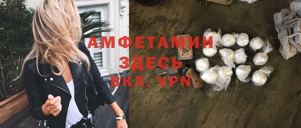 гидра Арсеньев