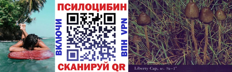 Галлюциногенные грибы Cubensis  дарнет шоп  Белоярский 